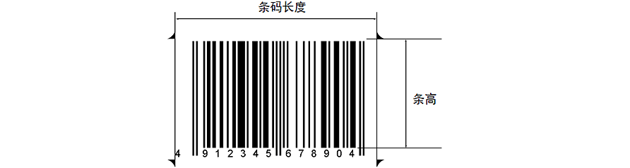 標(biāo)準(zhǔn)尺寸和放大倍數(shù)